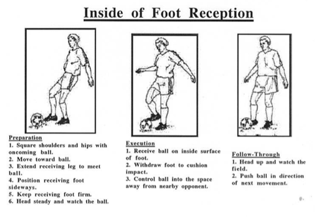 Inside of Foot Reception